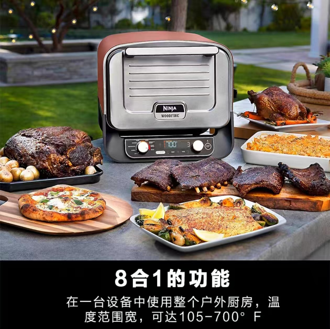 2026 Outdoor Pizza Oven for El - Camping Cooking recensione e prezzo